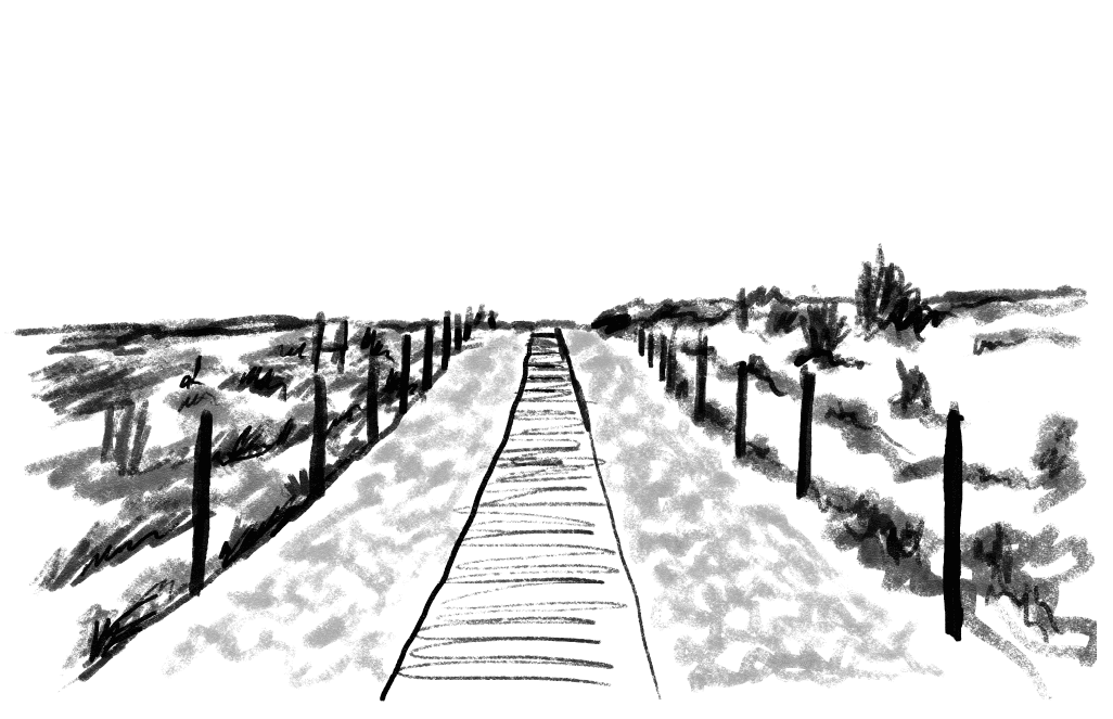 N/A
